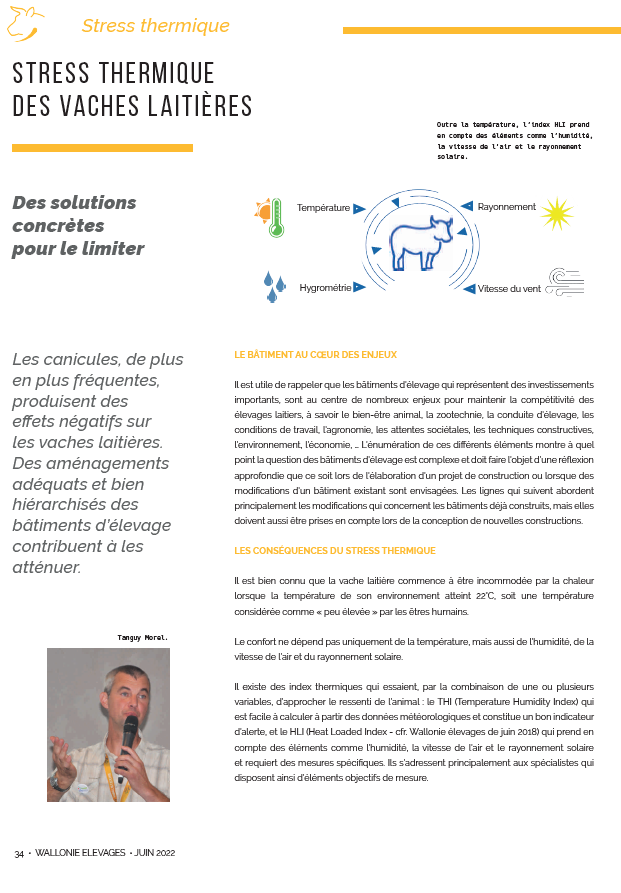 article stress thermique des vaches laitières.png