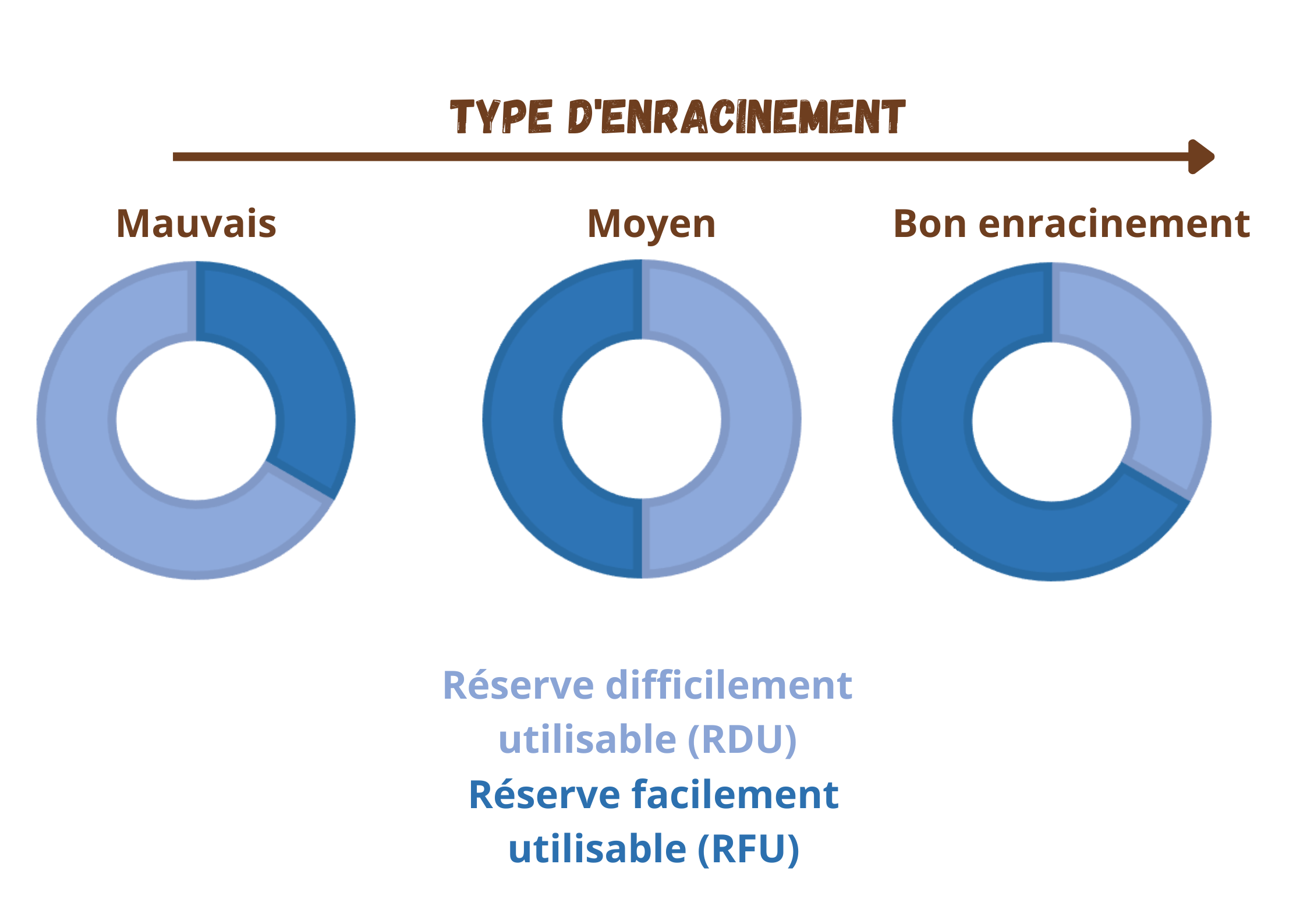 illustration Sécheresse site (8).png