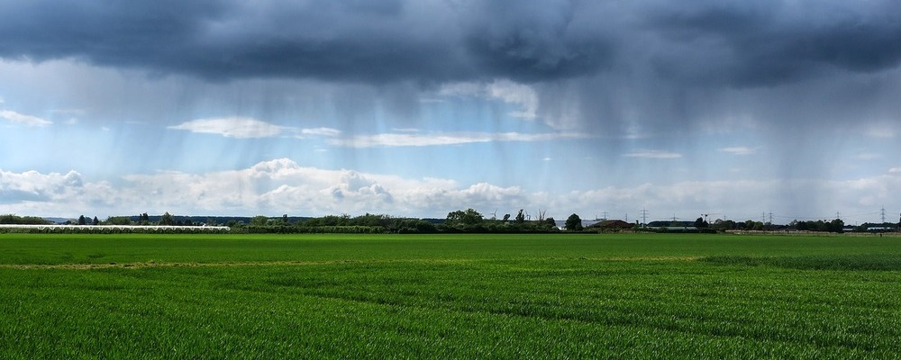 L'efficience en eau en agriculture : une des stratégies pour faire face à la sécheresse