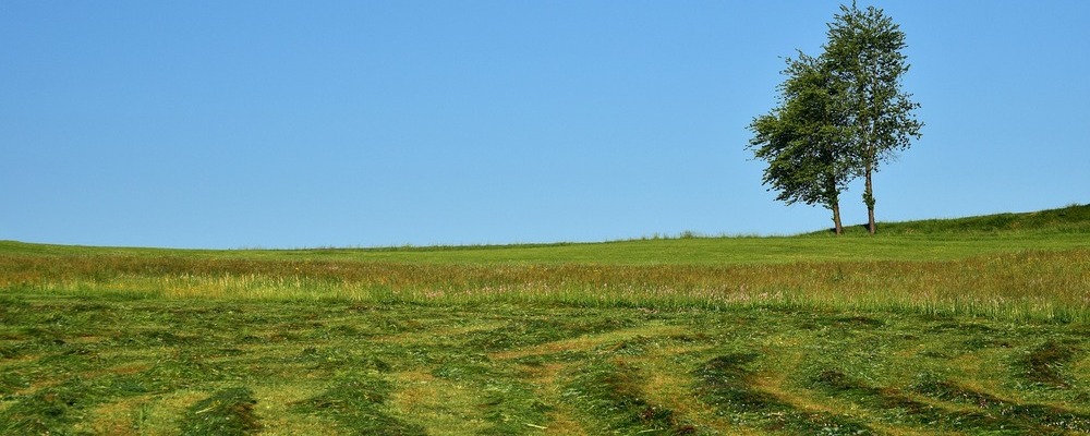 Améliorer la résilience fourragère sur l'exploitation