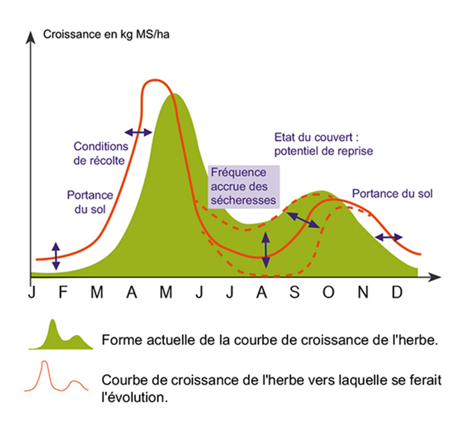 intervention en fonction pousse de l'herbe.png