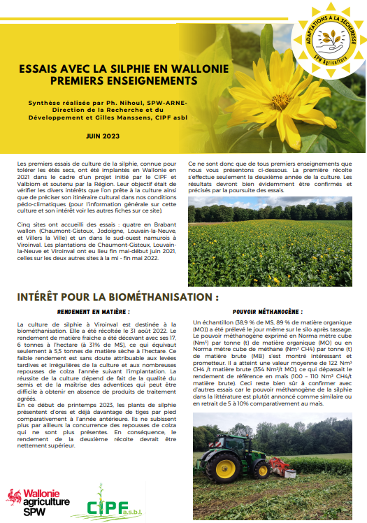 photo article premier enseignement essais silphie.png