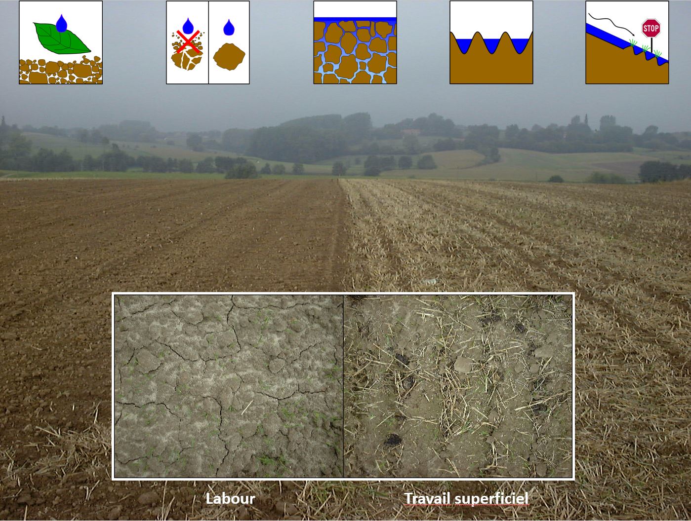 23-Comparaison_sol_labour_TCS_Hainaut.png