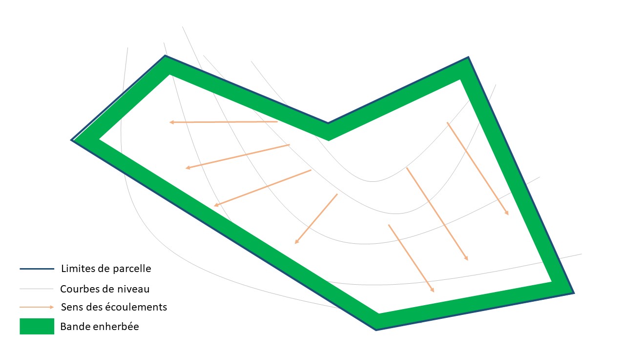 9-parcelle avec bande anti-érosive.jpg